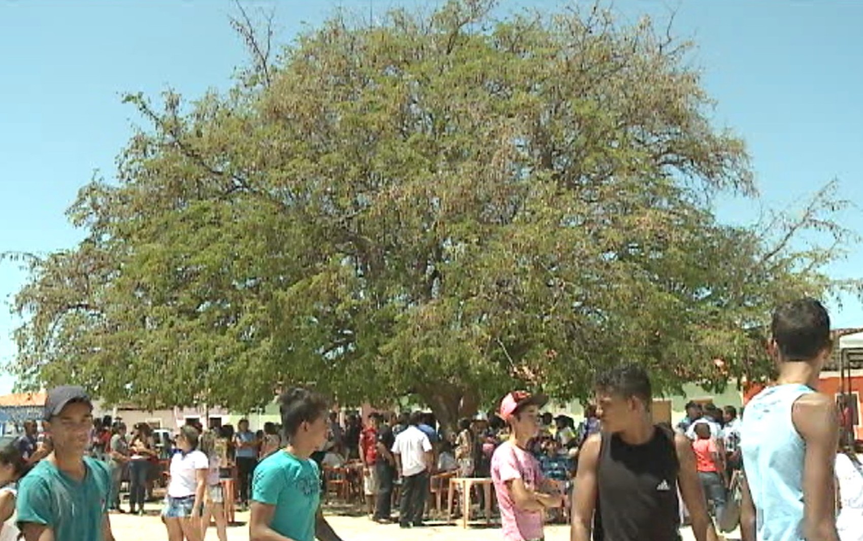 Caboclo celebra a 16ª Festa do Tamarindo; veja a programação