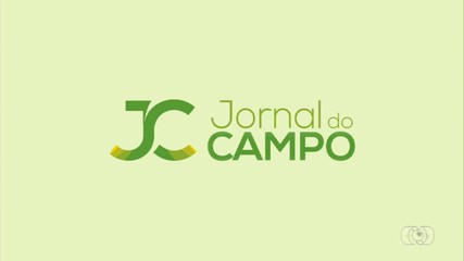 Confira os destaques do Jornal do Campo deste domingo (26)