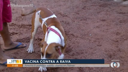 Vacina contra raiva estará disponível em seis postos de saúde da Capital neste sábado (9)