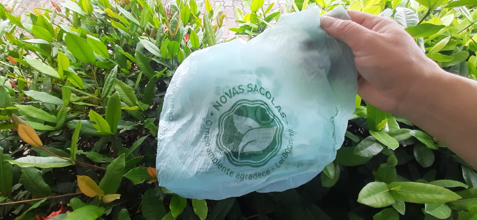Prefeitura de Cabo Frio lança projeto nesta quarta em busca de parceria para distribuir sacolas biodegradáveis nas praias no verão