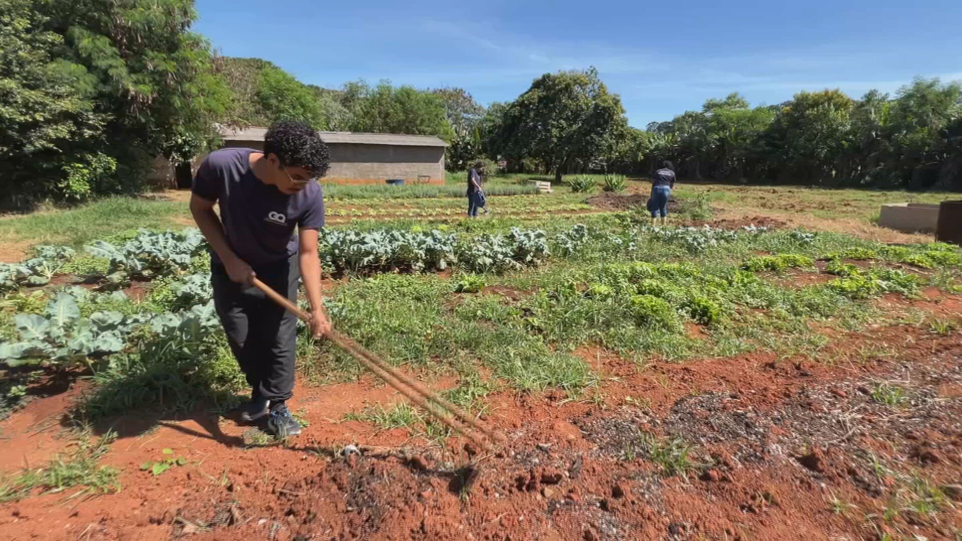 Projeto incentiva jovens em profissões ligadas à agropecuária no interior de SP