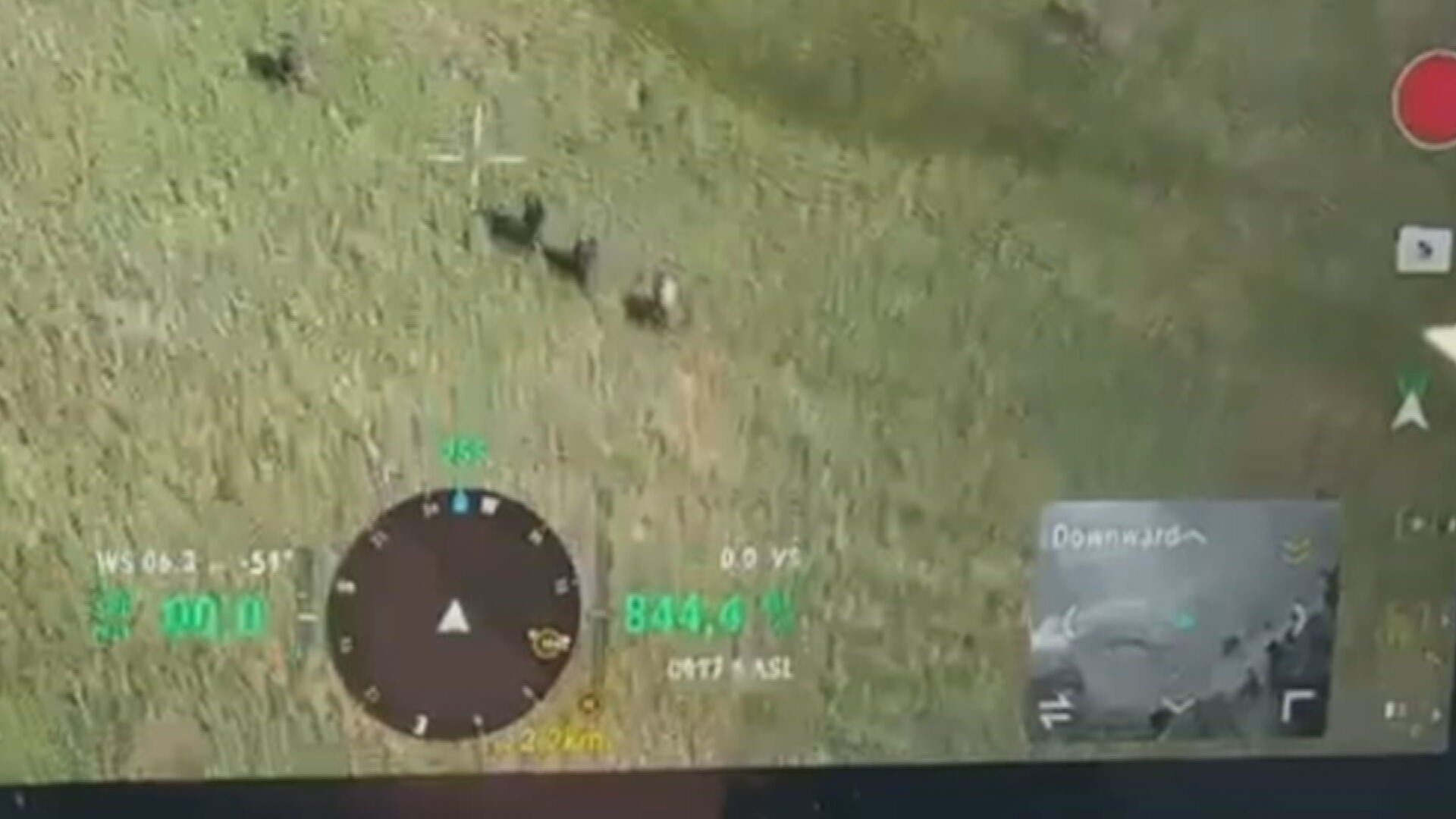 Imagens de drone da PM mostram criminosos fugindo por área de mata em Senador Camará