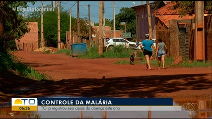 Tocantins registrou seis casos de malária em 2024
