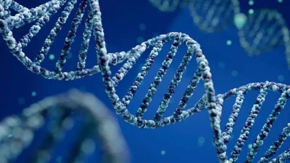 A conversão genética é frequentemente descrita como uma espécie de mecanismo 'copia e cola', que passa a informação de uma versão de um gene para outra. — Foto: OsakaWayne Studios via Getty Images via BBC