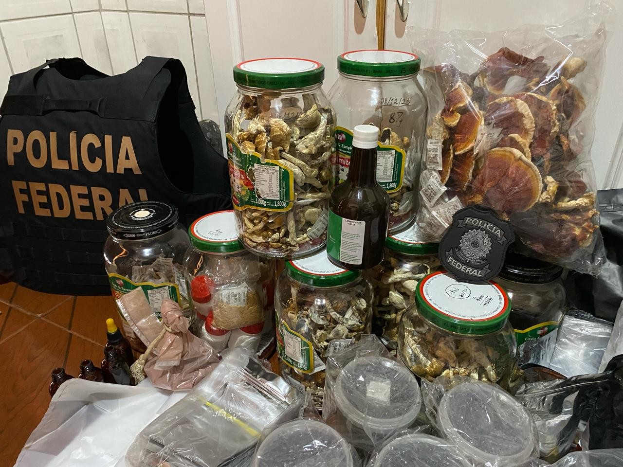 Polícia Federal investiga grupo que vendia cogumelos alucinógenos proibidos no Brasil