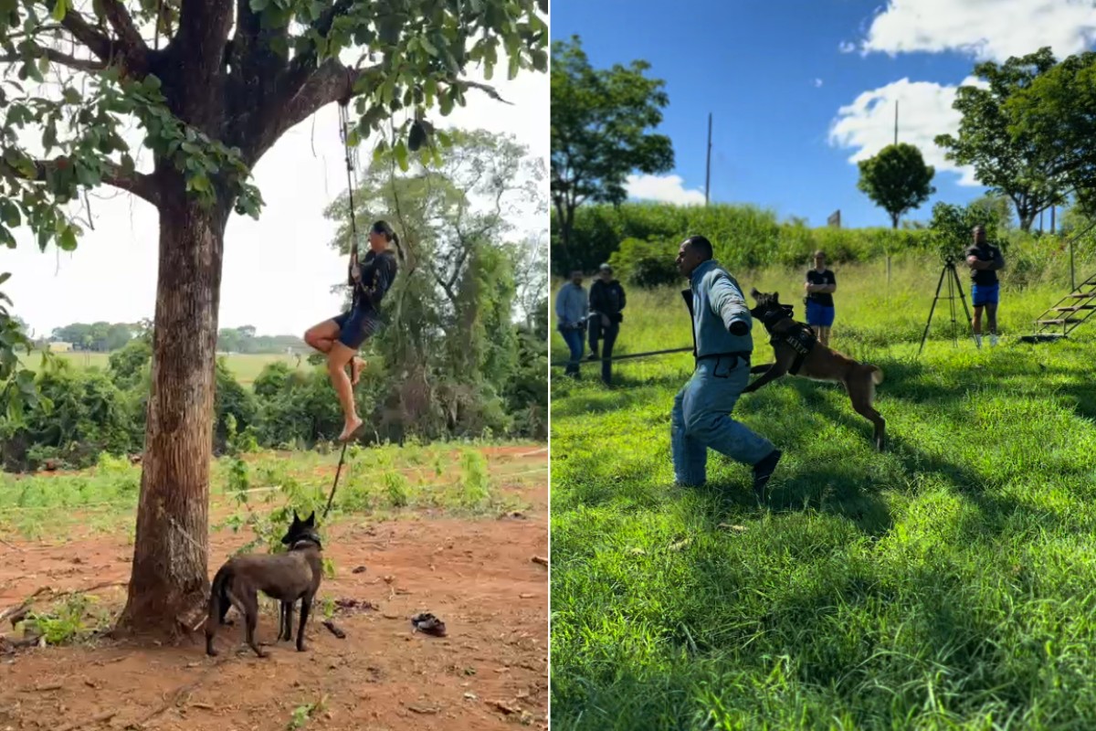 K9 e cãoterapeuta se aposenta de competições após título no Sul-Americano; veja rotina das campeãs do Baep