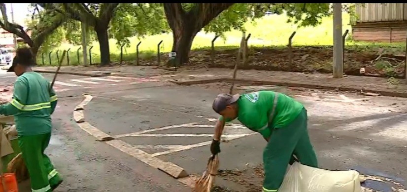 Temporal em Piracicaba: Defesa Civil soma 43 árvores de grande porte caídas e força-tarefa atua na limpeza, liberação de vias e reparos 