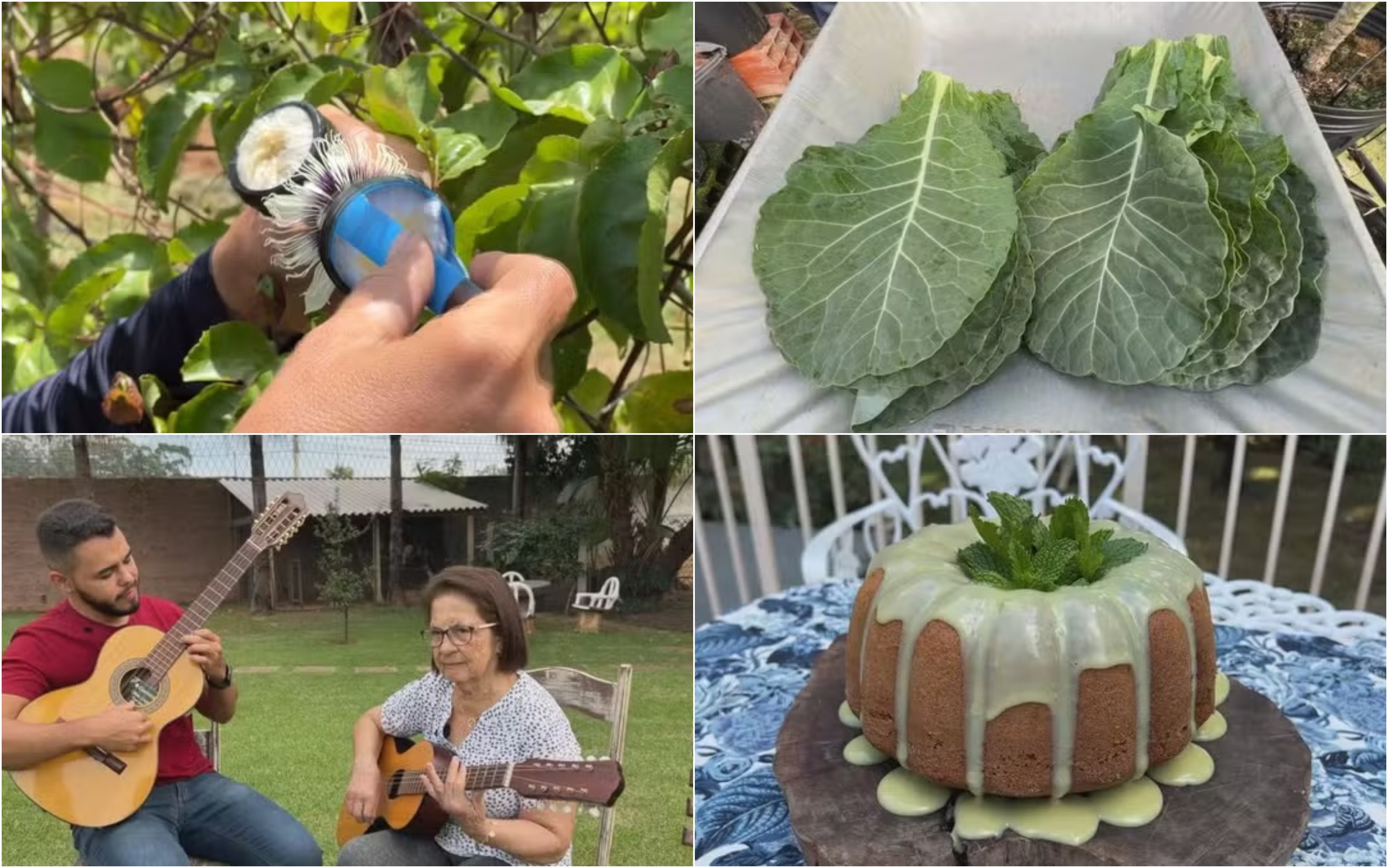 Retrospectiva 2025: reveja reportagens do Nosso Campo deste domingo, 4 de janeiro