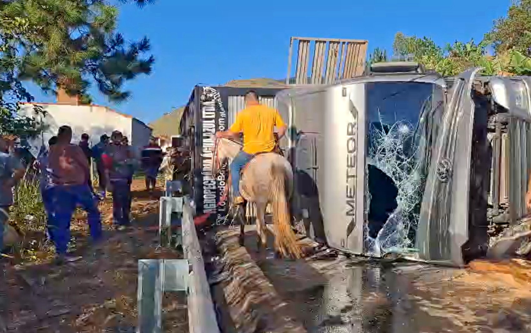 Carreta com gado tomba após atingir casa na BR-459, em Santa Rita do Sapucaí, MG