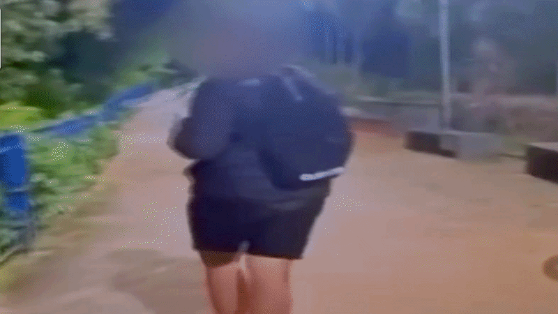Gata arremessada em rio de São Luiz do Paraitinga passa por recuperação de 10 dias; veja vídeo