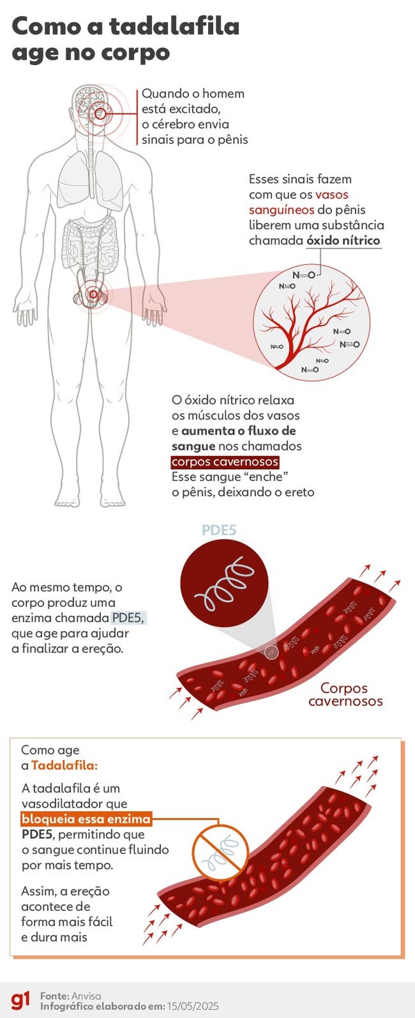 Como a tadalafila age no corpo — Foto: Arte/g1