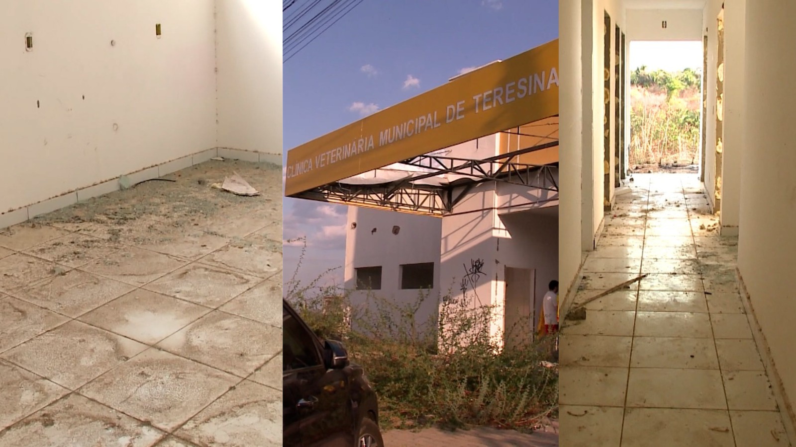 Prédio de clínica veterinária municipal de Teresina que custou R$ 1 milhão é abandonado há mais de um ano