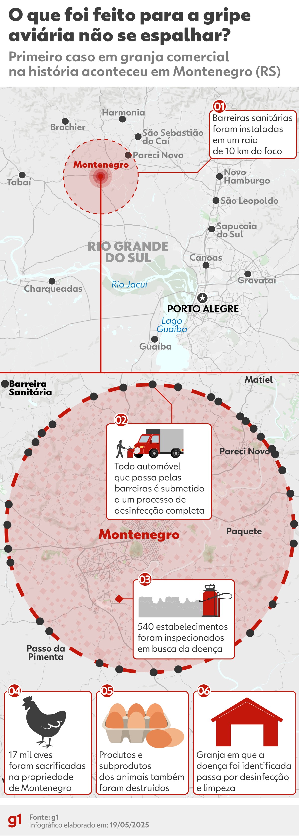 Veja os países com embargos à carne de frango do Brasil após gripe aviária