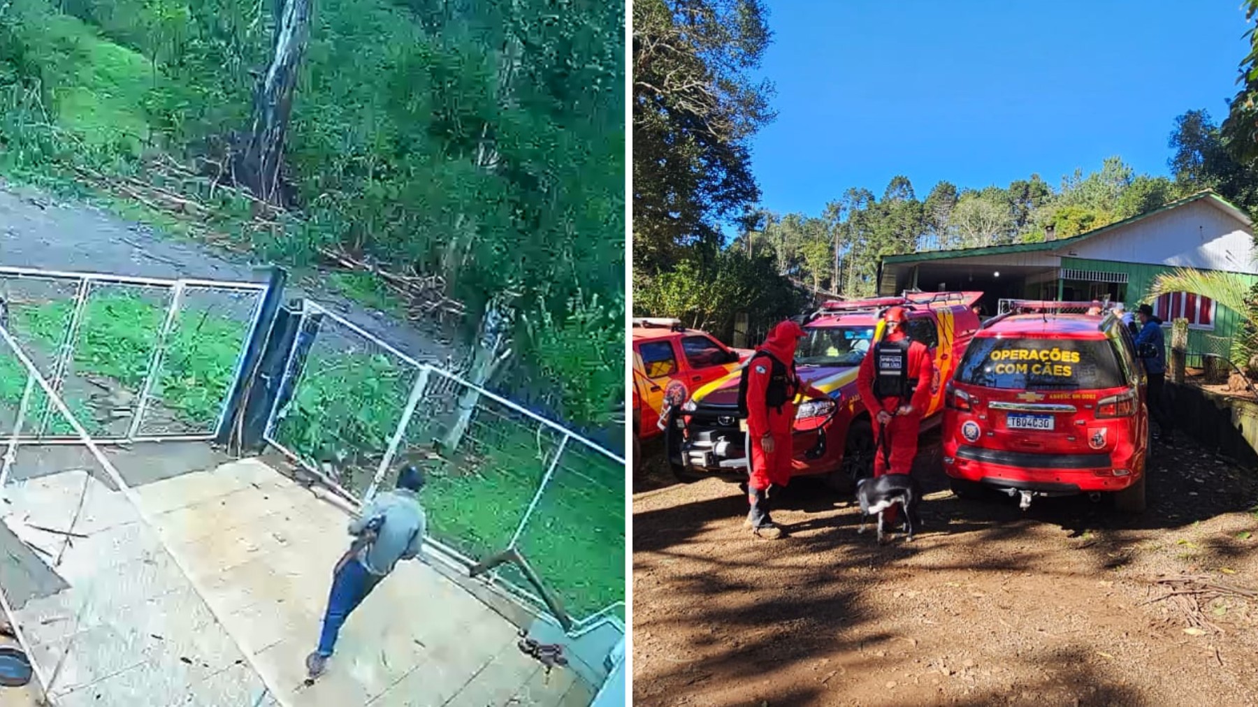 Idoso é encontrado morto após sair para colher pinhão e desaparecer no interior do Paraná