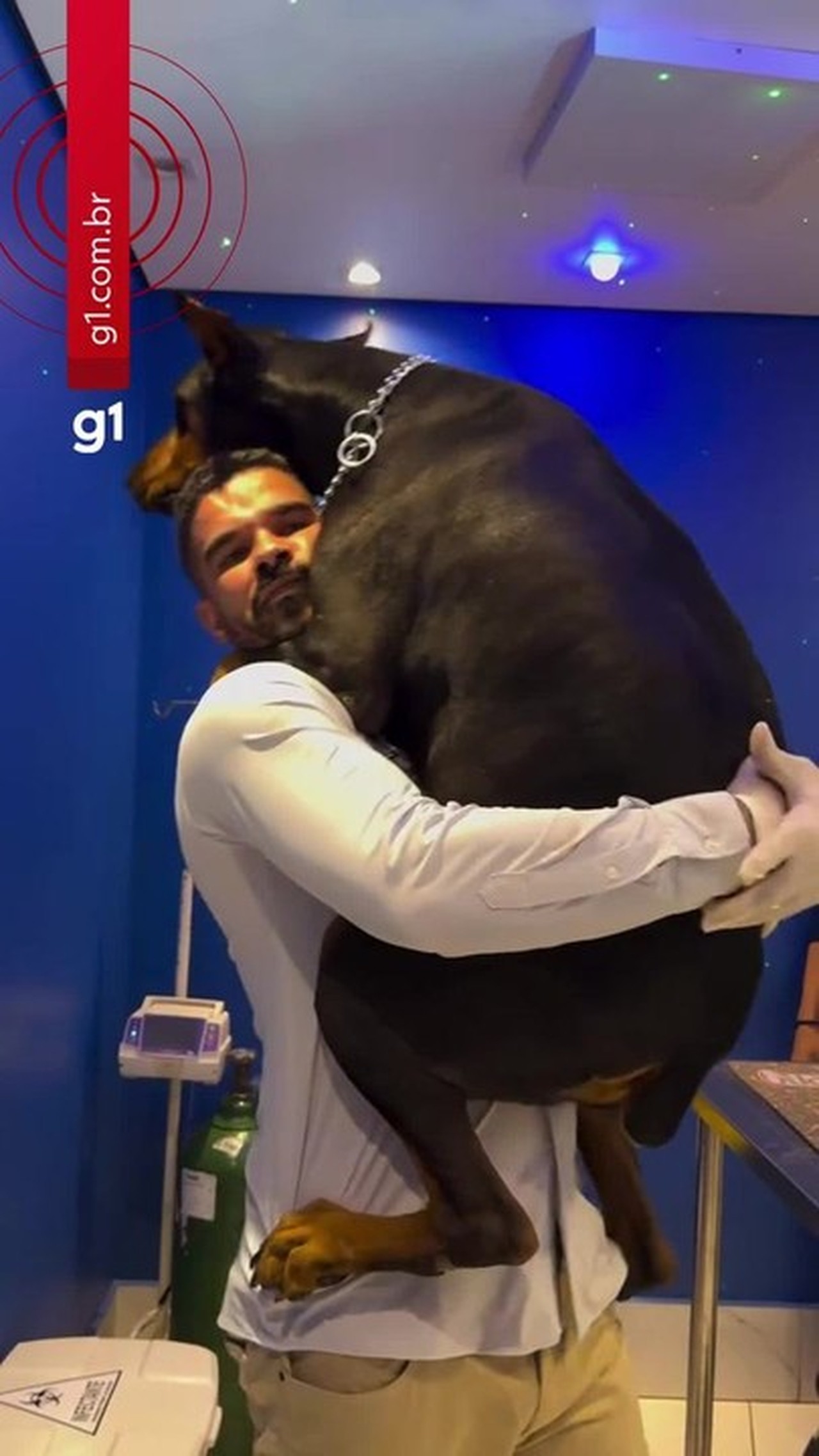 Como veterinário 'encantador de feras' usa dança para 'hipnotizar' cães e aplicar injeção até nos mais bravos