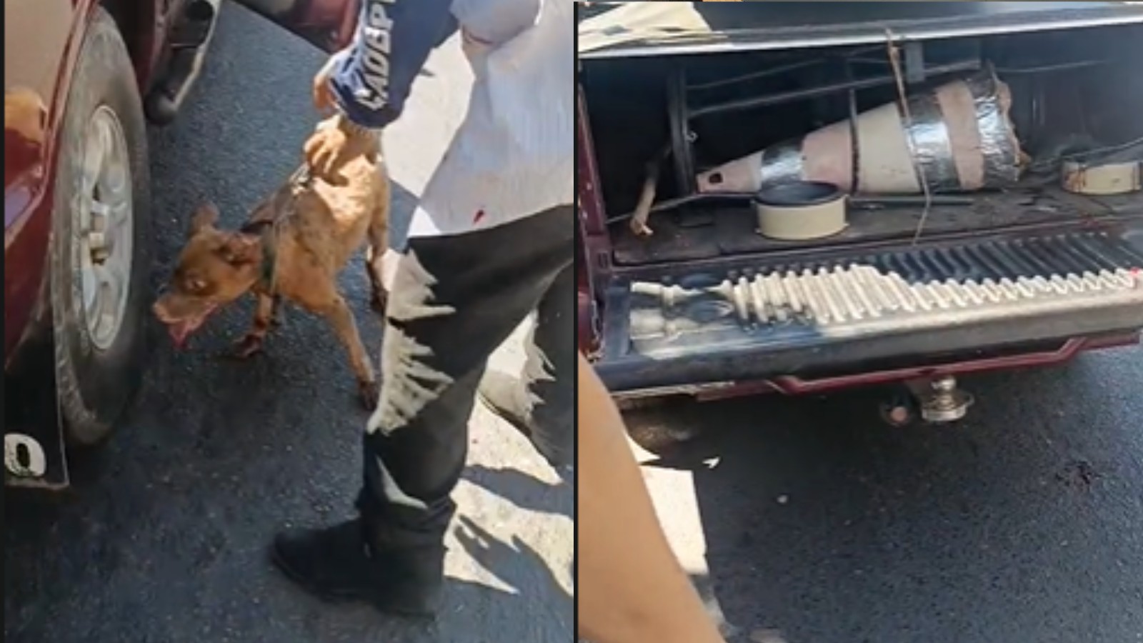 Cachorro amarrado a carro é arrastado por ruas da Zona Leste de Teresina; homem é preso em flagrante por maus-tratos