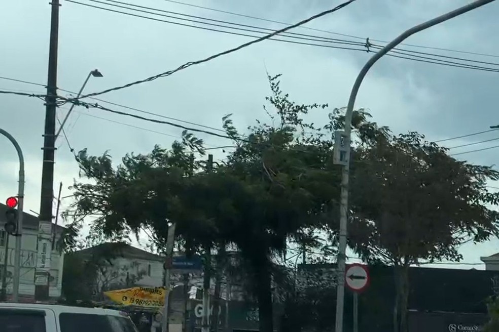 Defesa Civil emite alerta severo para chuva, raios e ventania em SP: 'Busque abrigo' — Foto: Reprodução