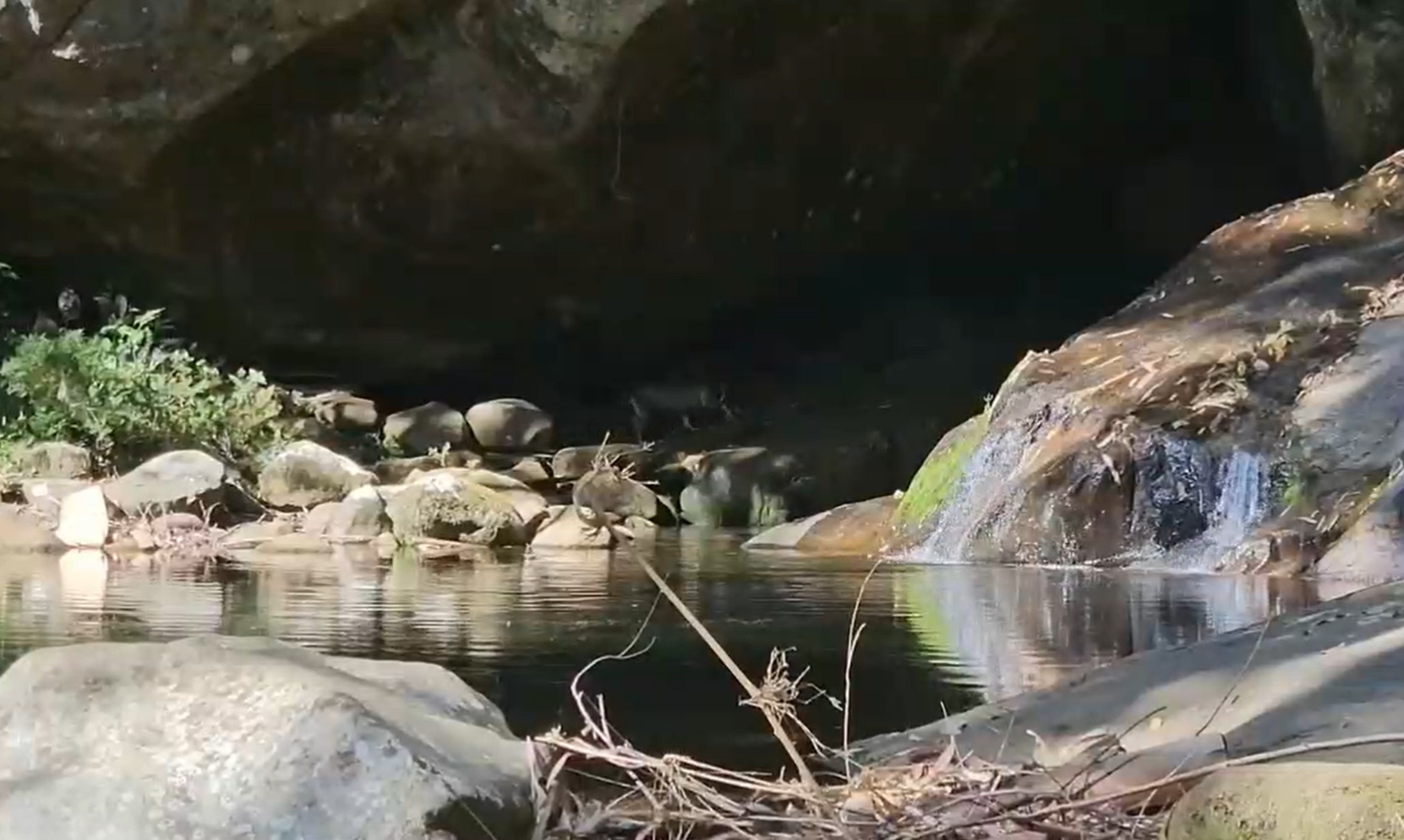 Seca em Nova Friburgo, RJ, baixa nível de cachoeiras e seca mananciais na Pedra do Caledônia