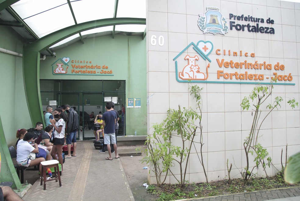 Clínica Veterinária Jacó — Foto: Divulgação