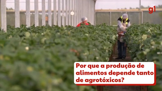 Projeto de nova lei dos agrotóxicos: veja o que muda ponto a ponto - Programa: G1 Agronegócios 