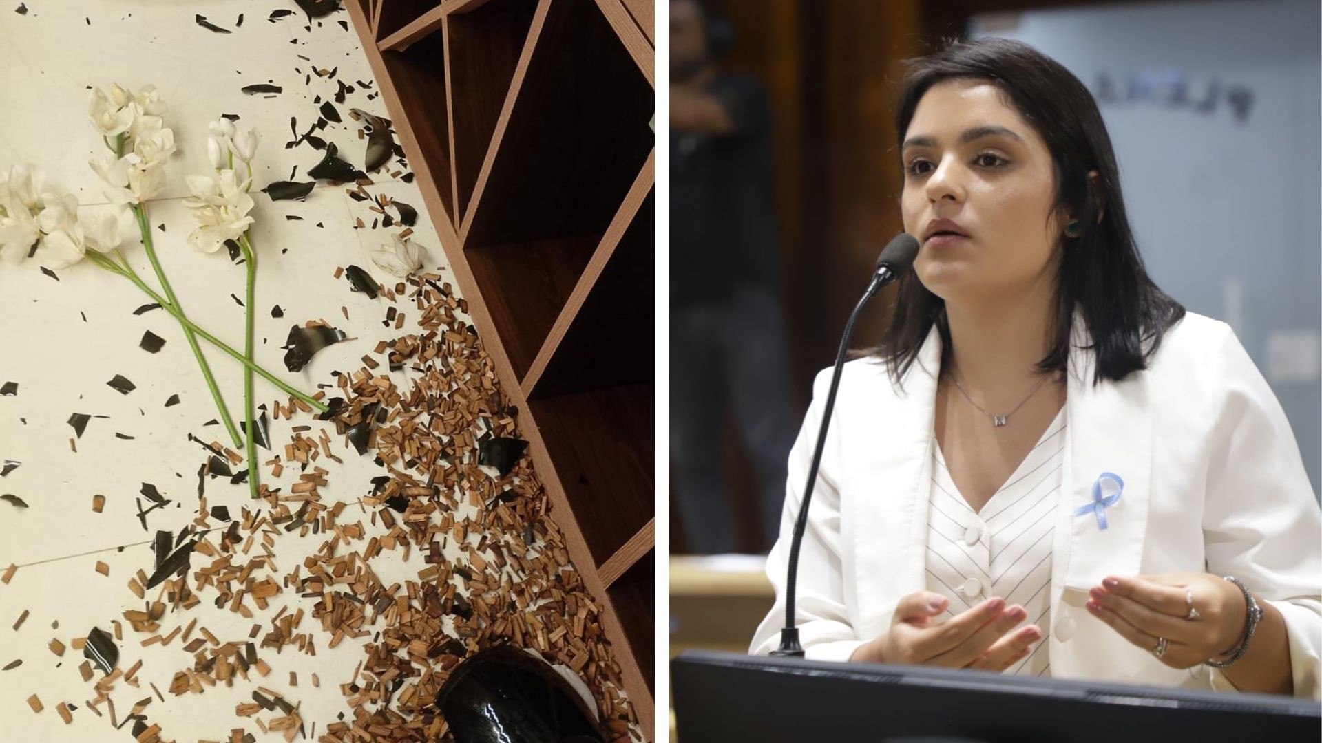 Vereadora de Mogi das Cruzes é suspeita de invadir casa de ex-namorado e revirar imóvel