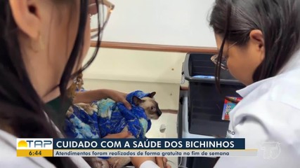 Atendimentos foram realizados de forma gratuita no fim de semana