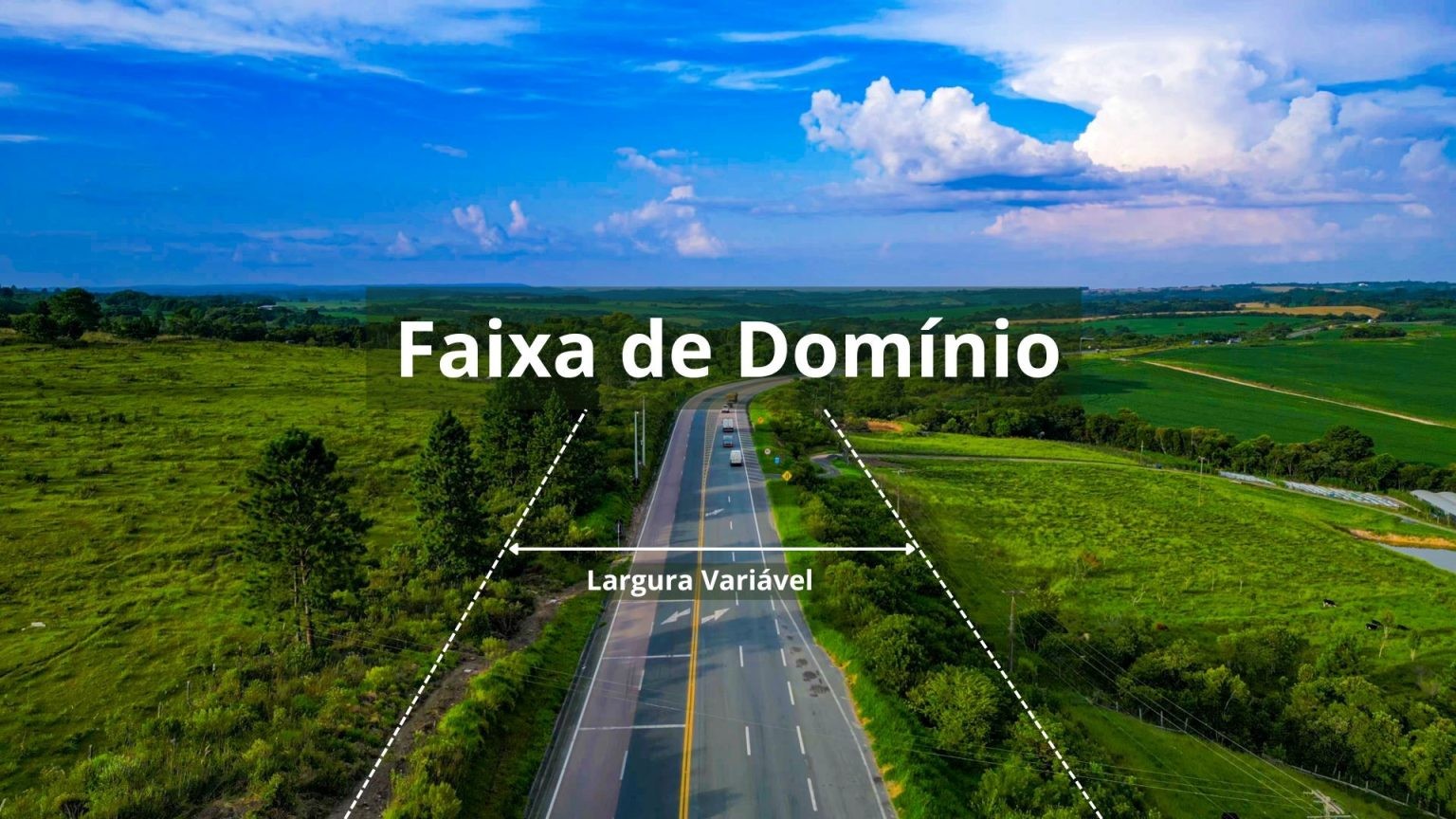 Faixas de domínio em rodovias do Paraná estão liberadas para plantio de 'culturas baixas'; saiba como usar as áreas