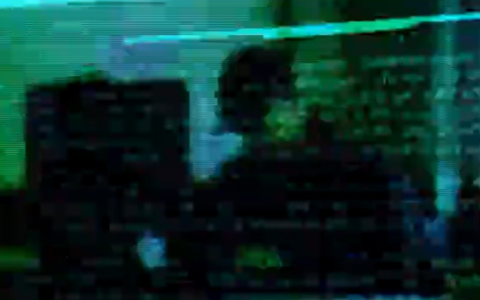 Polícia de SP monitora até 15 casos de tortura a animais em lives nas redes sociais por madrugada — Foto: Reprodução/TV Globo