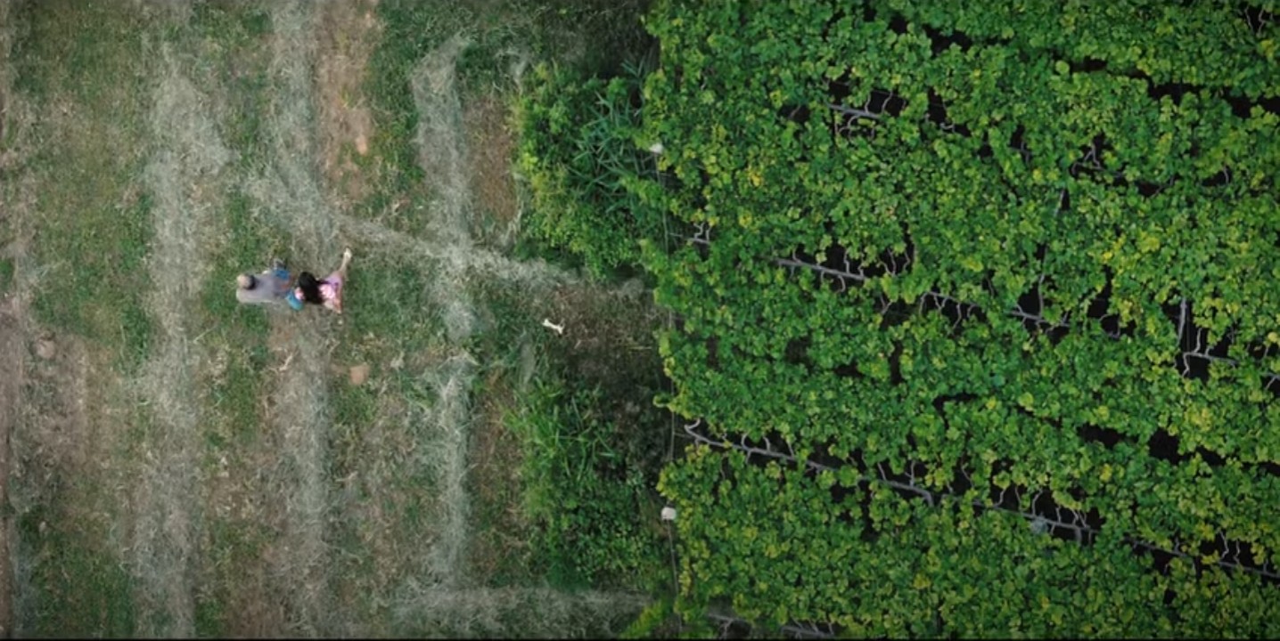 Festival de cinema leva produções locais para a zona rural de Petrolina