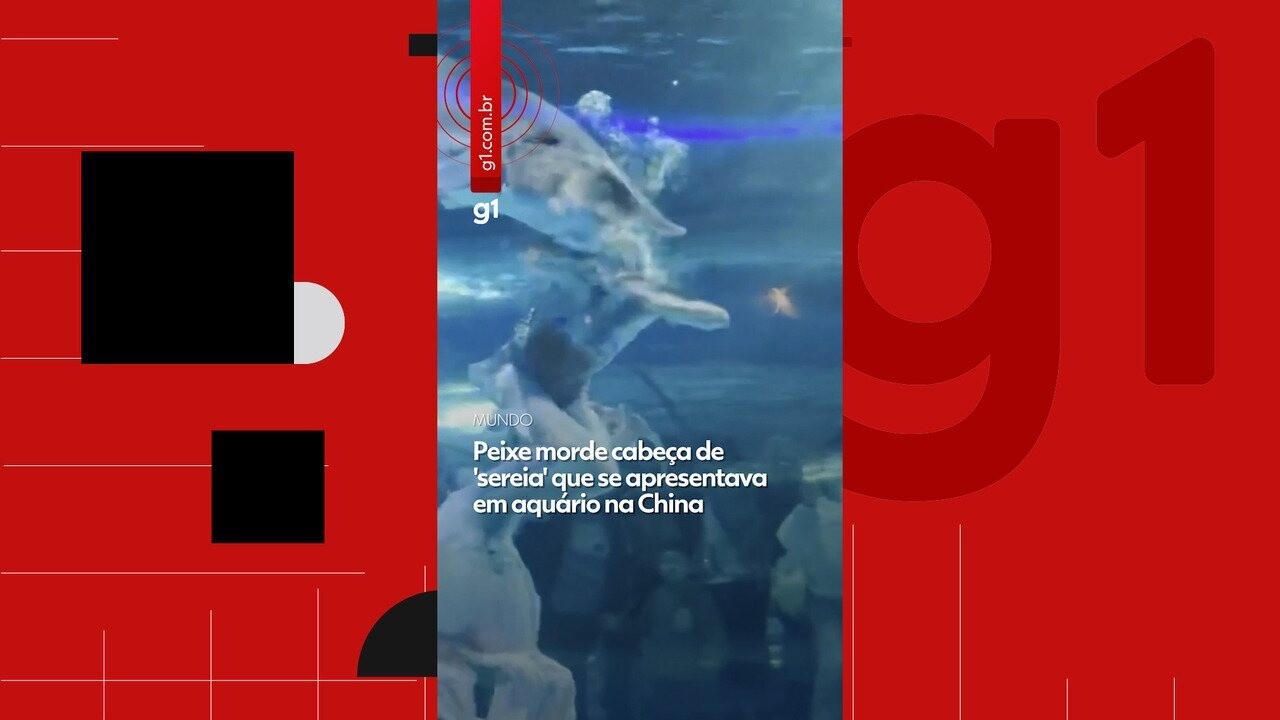 VÍDEO: Peixe morde cabeça de 'sereia' que se apresentava em aquário na China