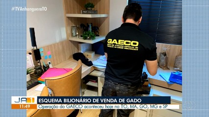 Gaeco investiga esquema de venda de gado no Tocantins e outros estados