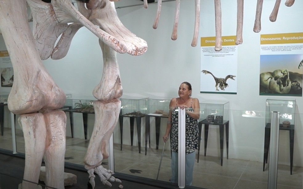 Elvira Franciosi e a réplica do esqueleto do Titanossauro do Campeste, em Monte Alto (SP): primeiro fóssil foi encontrado por ela há 40 anos — Foto: Tiago Aureliano/EPTV