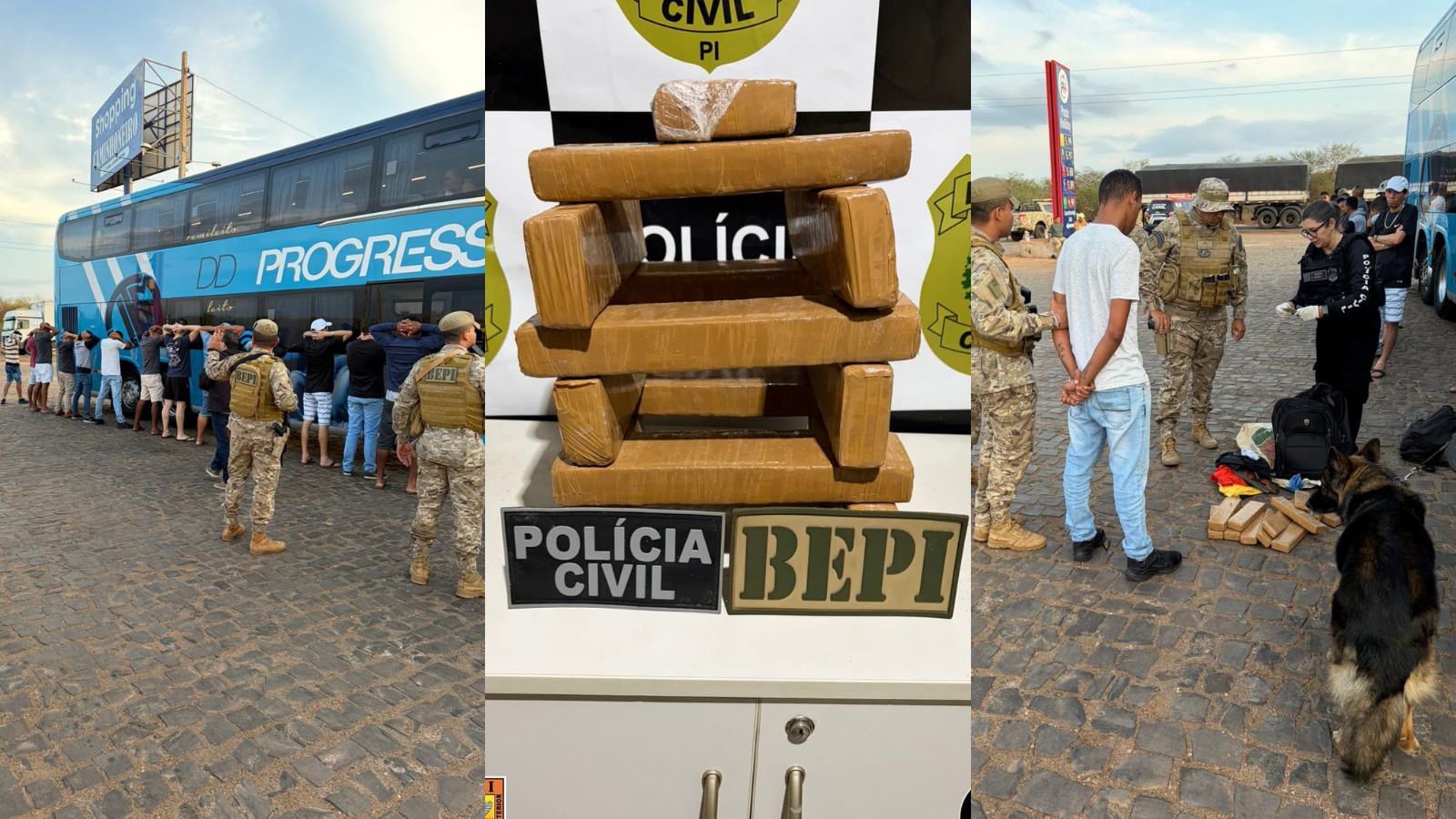 Homem é preso com 12 tabletes de maconha em ônibus no Sul do PI