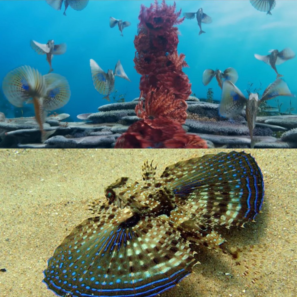 Os animais marinhos do filme 'A Pequena Sereia' existem?