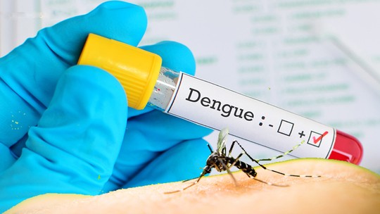 Com sete registros em julho, casos de dengue em Ribeirão Preto acumulam queda de 98,2% no ano