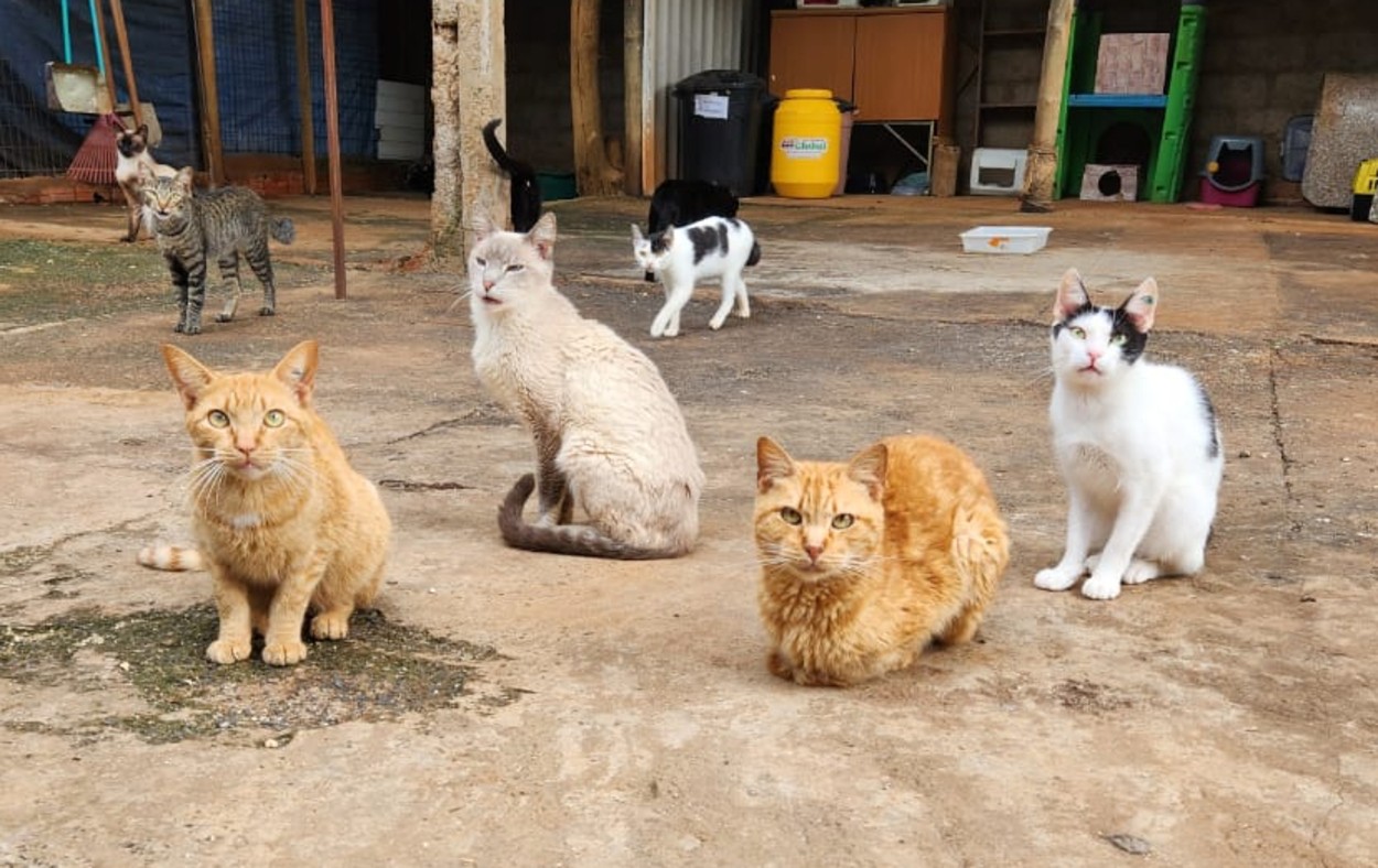 Você Não Tá Convidada pro Meu Bat Mitzvá!