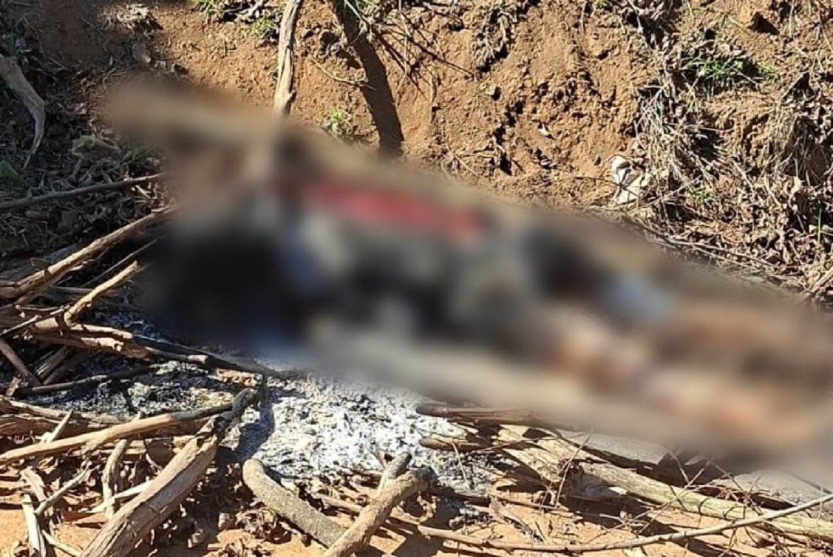 Corpo parcialmente carbonizado é encontrado em estrada na zona rural de Divino