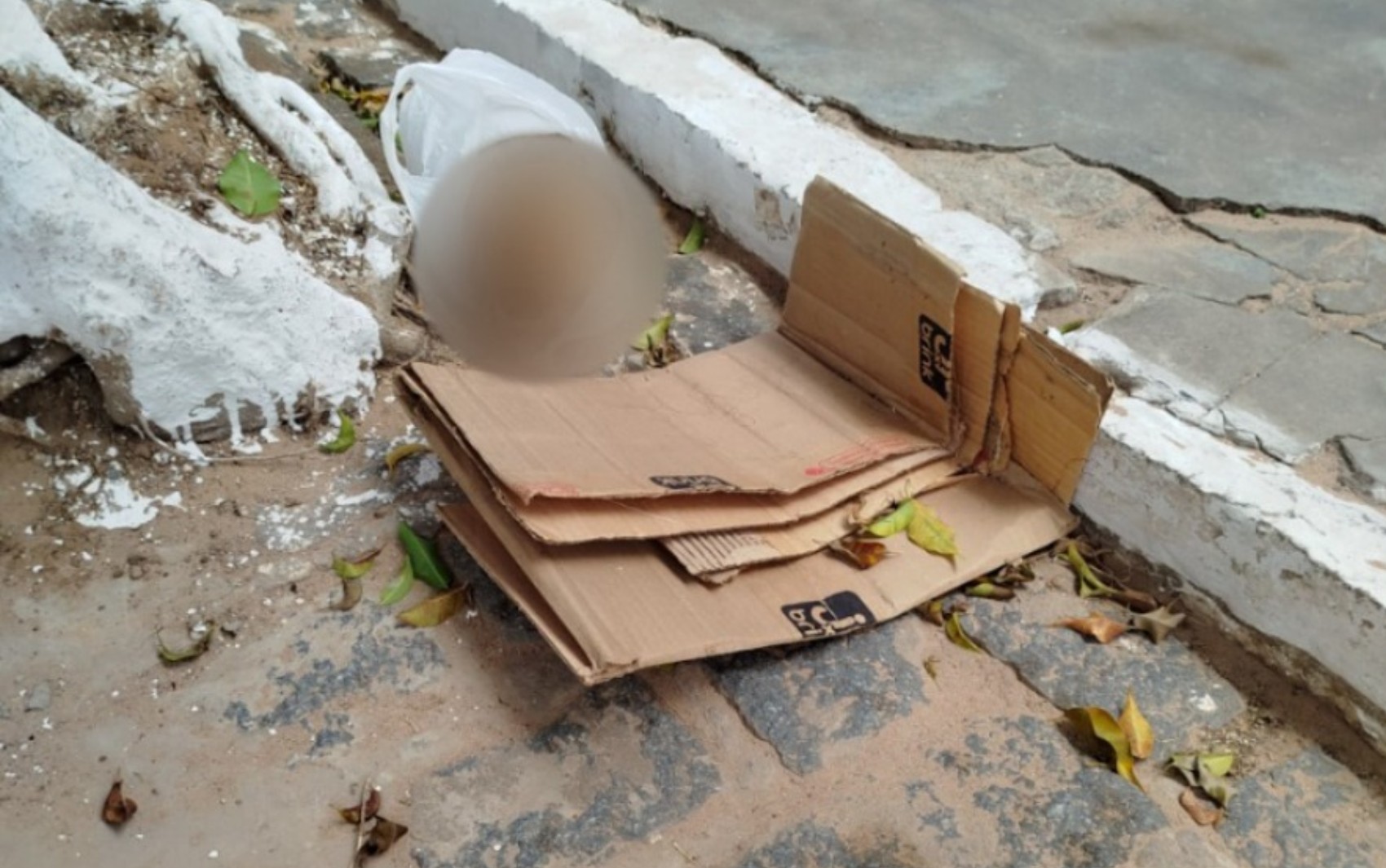 Crânio é encontrado no interior da Bahia e polícia investiga ligação com furto em cemitério 