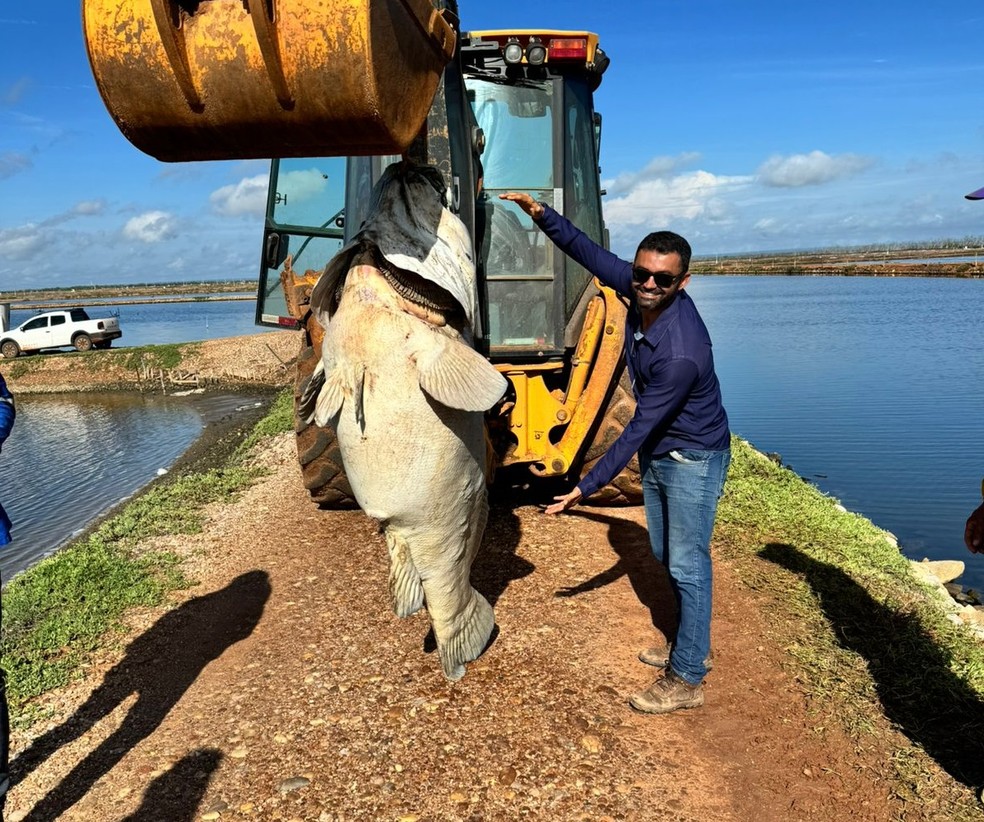 Funcionário de fazenda mostra tamanho do peixe encontrado na manhã desta terça-feira (5) no interior do Rn — Foto: Cedida