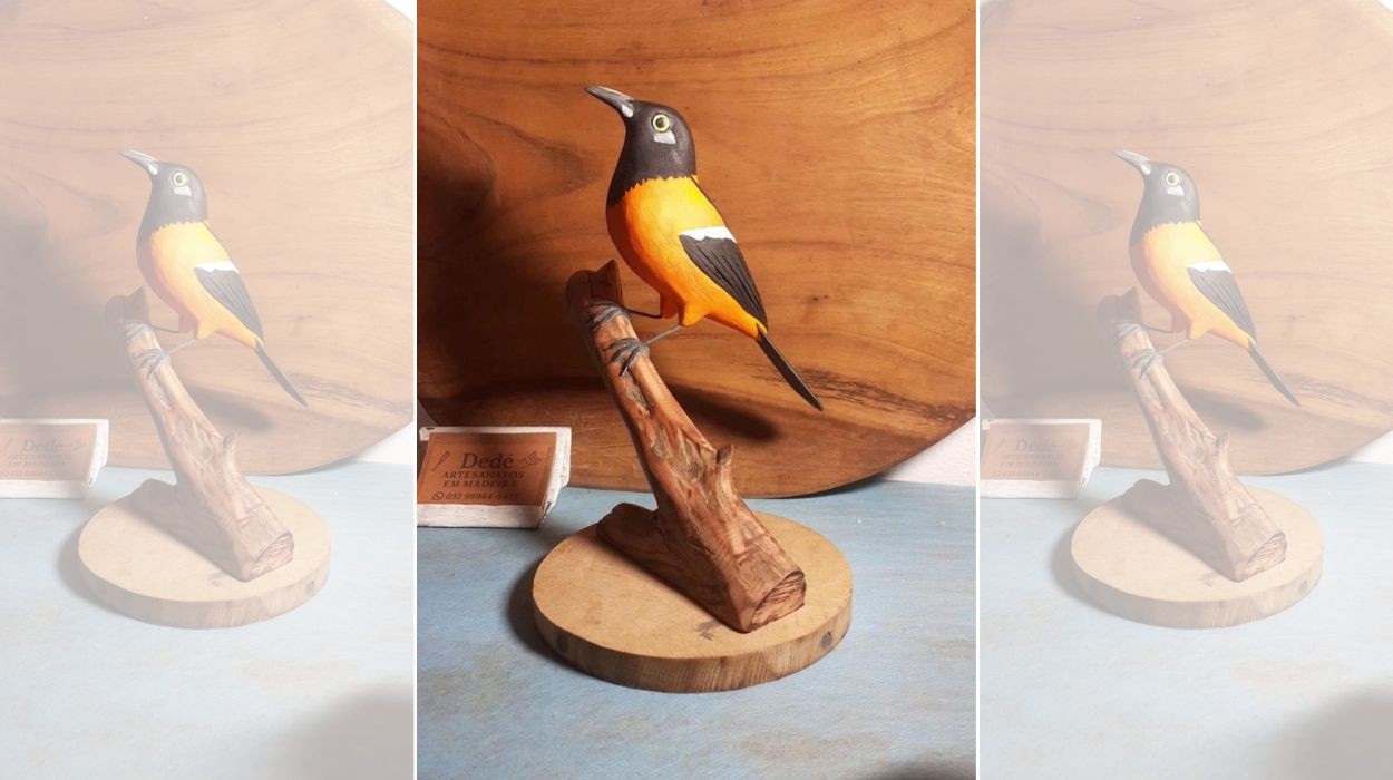 Artesão transforma madeira em aves e celebra a fauna por meio da escultura