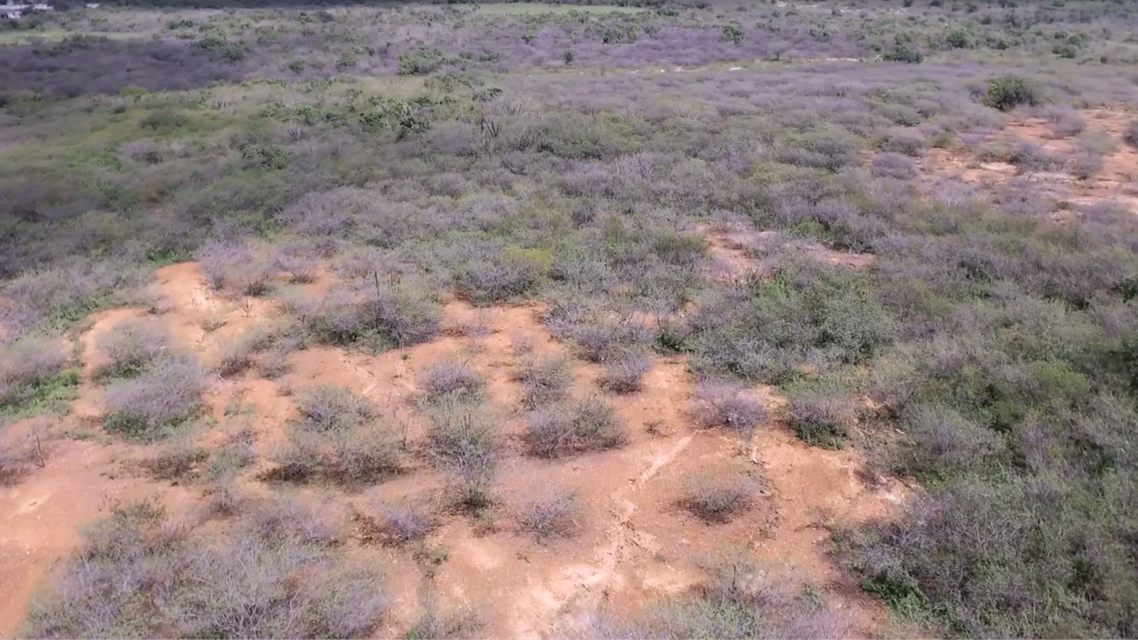 Lá Vem o Enem: resolva questões de geografia sobre crise climática no semiárido