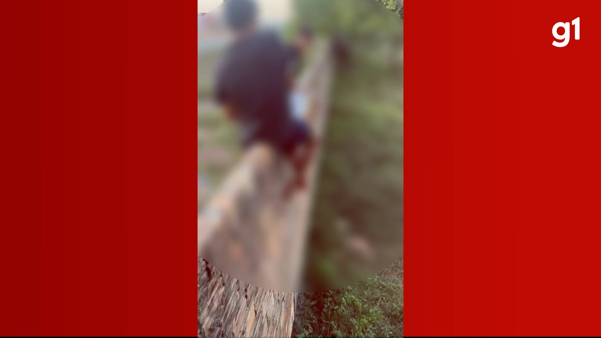 VÍDEO: Criança é atacada por porco-do-mato após invadir terreno no interior do Maranhão