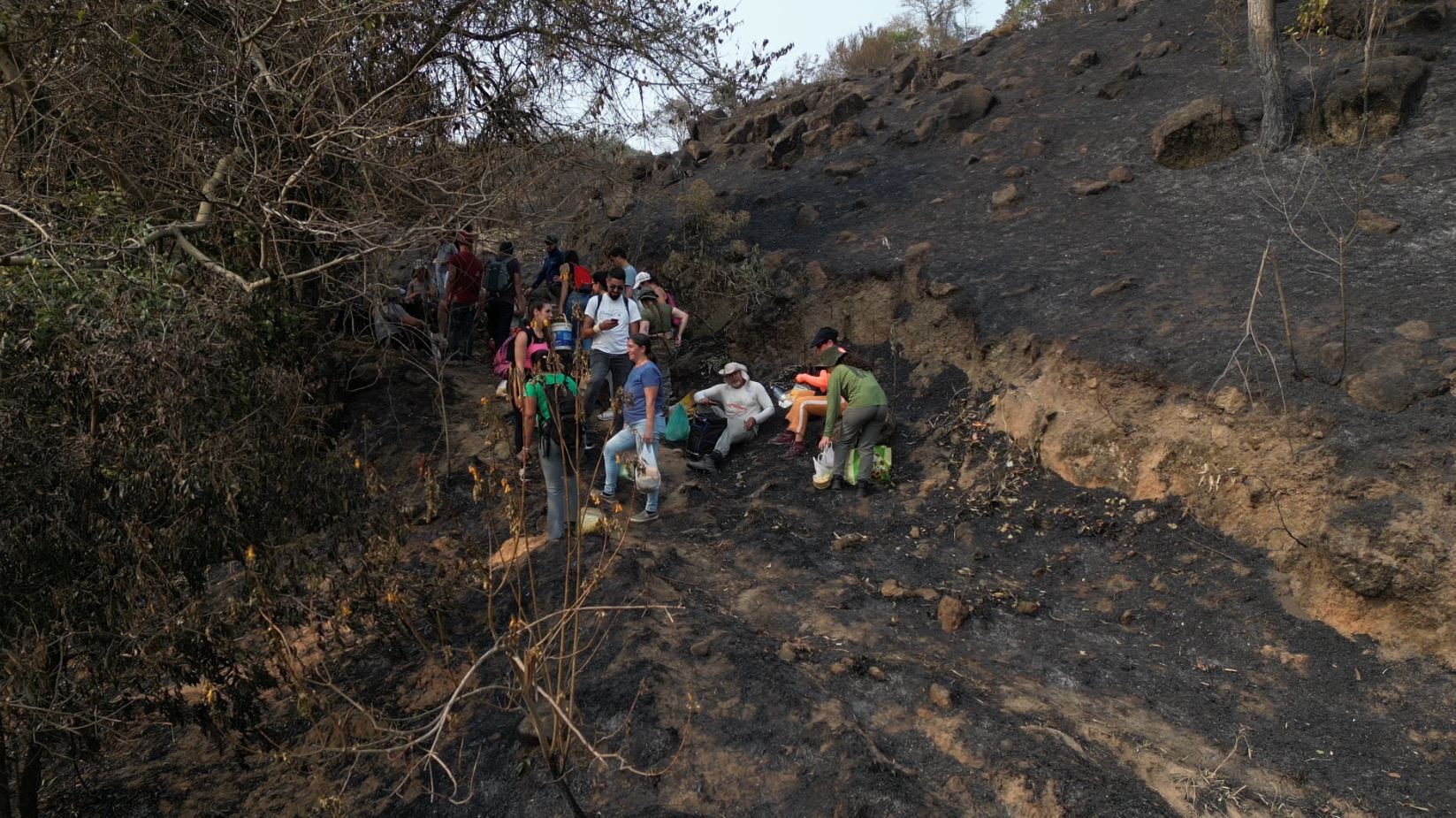 Moradores fazem mutirão para alimentar animais silvestres vítimas de incêndio na Serra dos Cocais