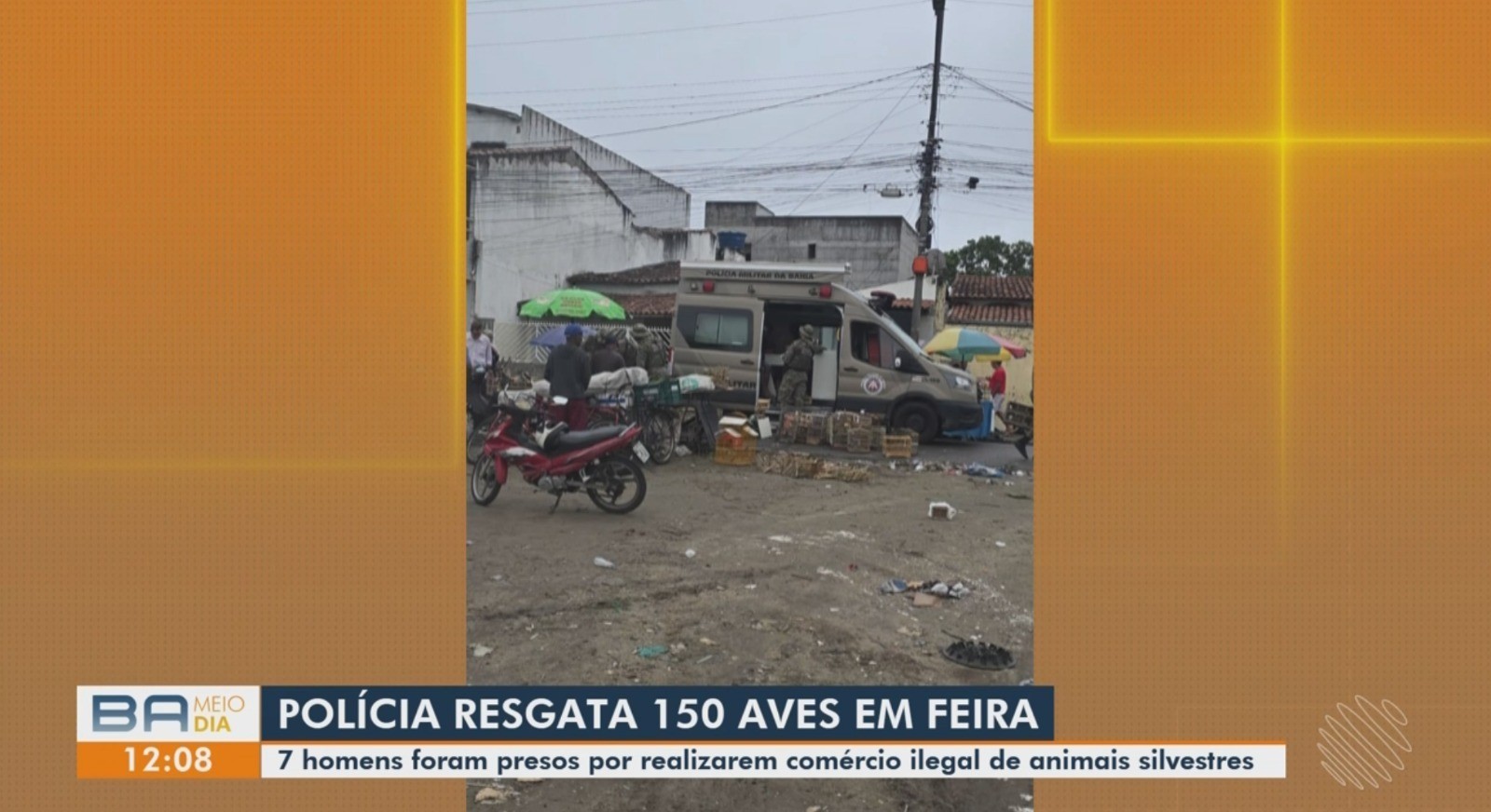 Vídeos do g1 e TV Subaé - segunda-feira, 7 de julho de 2025