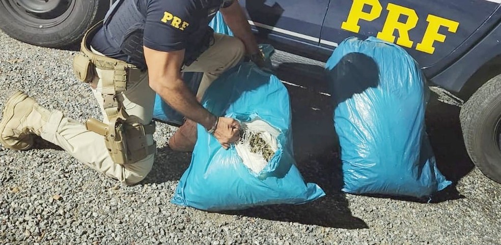 Droga foi apreendida pela PRF em Serra Talhada — Foto: Divulgação/PRF