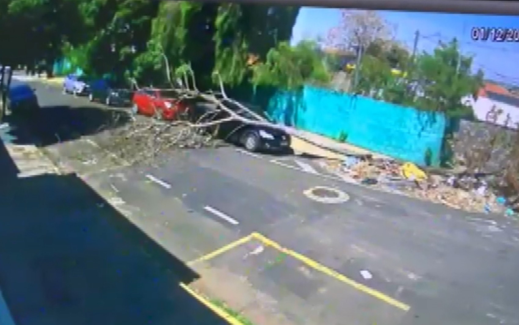 Árvore cai sobre carro horas antes de veículo ser entregue a novo dono em Franca, SP; VÍDEO