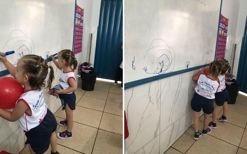 Gemêas Heloá e Valentina, separadas em Goiânia, Goiás — Foto: Arquivo Pessoal/Waldirene Prado