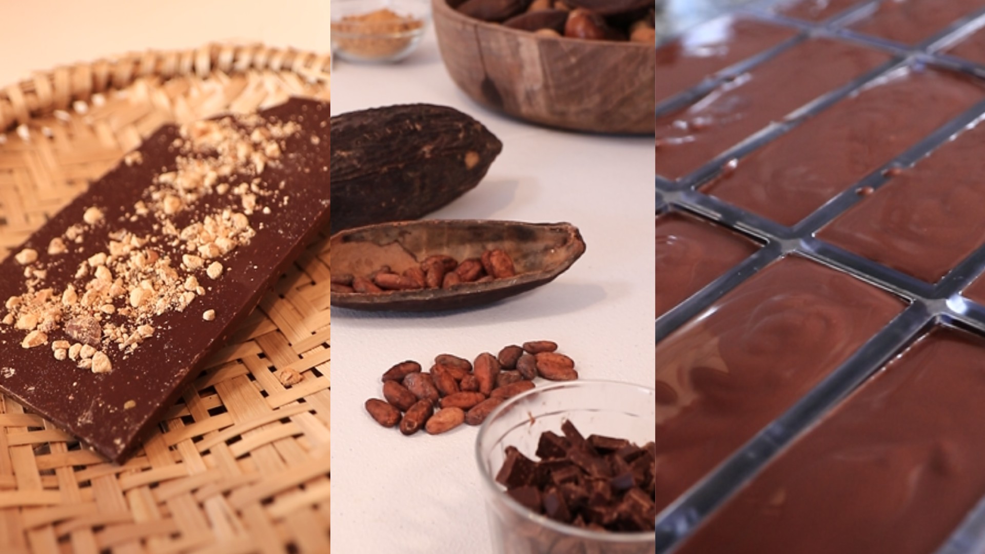 Dia do Cacau: conheça a história e produção artesanal de chocolate em Campo Grande