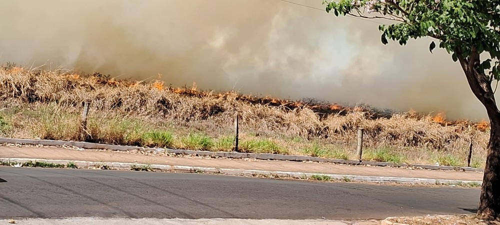Incêndio destrói área de mata em Jales; a fumaça assusta moradores