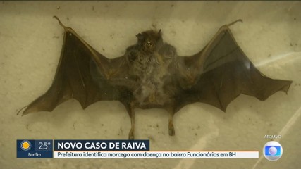 VÍDEOS: MG1 de terça-feira, 23 de dezembro de 2025